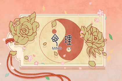 日历表年黄道吉日|日历2026年查询|农历2026年日历表